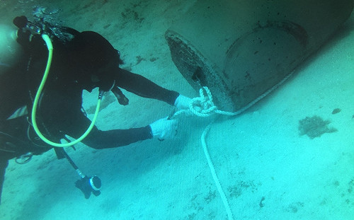 「共伴效應」竟也影響珊瑚生態！墾管處責成廠商改善