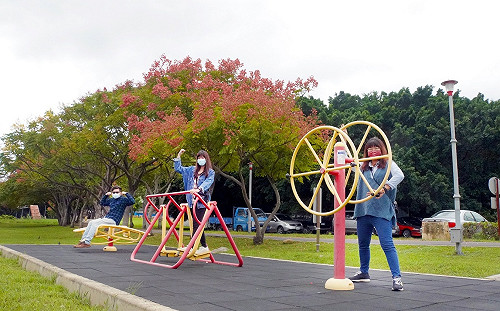 台灣欒樹變裝秀 把握新北河濱秋季豔紅美景