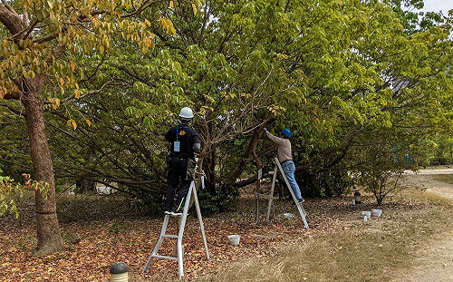 回應公民團體訴求 高市府：落實友善環境政策邁向永續城市