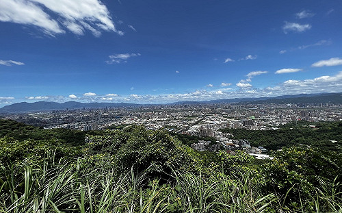 整修樹林觀景平台 再現新北山城市美景