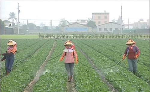 防檢局：農藥殘留標準與國際同步 不會犧牲食安