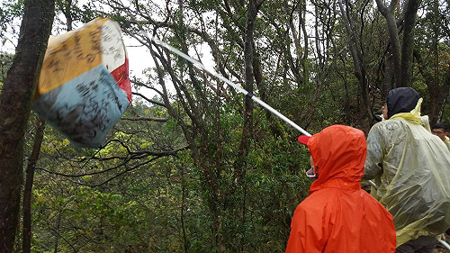 守護山林美景 平溪區公所邀志工「撿」天燈