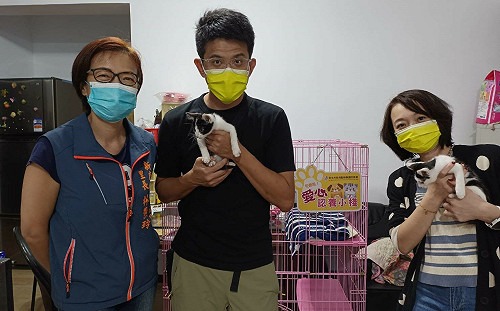新北新店百福里認養小棧 網路故事行銷月送養7隻貓