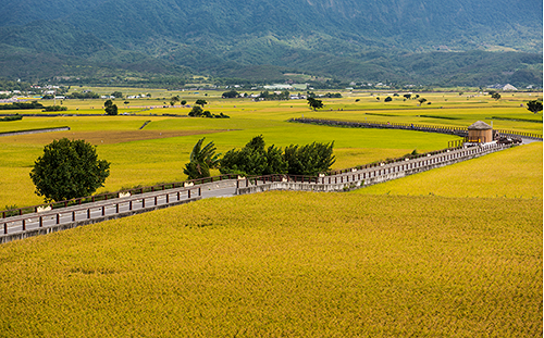 親子玩翻天！旅展限定700條農遊特色行程別錯過