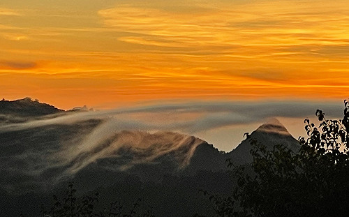 森林踏青賞雲海！大雪山換新裝「秋季美景」一次看