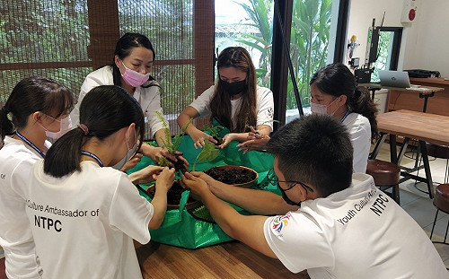 112年「新北文化大使」甄選開跑！文化領域等你來解鎖！