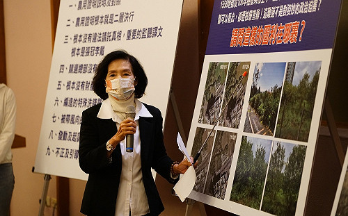 媽祖文化節千萬經費遭砍對半 林姿妙稱媽祖會自己想辦法