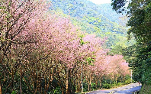 新北工務局橋梁維護及路況養護 榮獲中央金路獎雙料殊榮