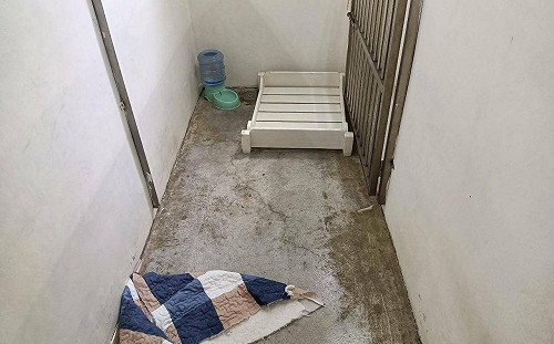 照護高齡犬貓 新北動保處開辦寵物長照課程