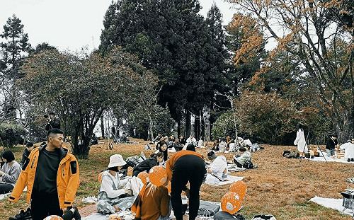 愜意森林時光!阿里山「山林野餐市集」12/3療癒登場