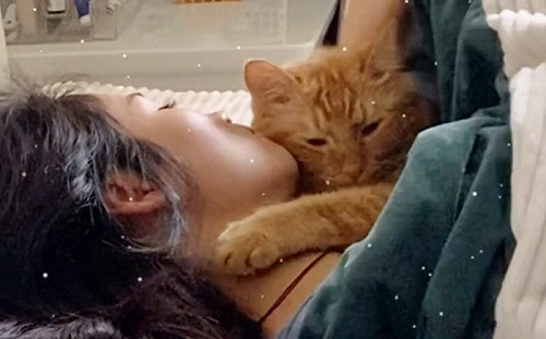 早晨醒來被橘貓環抱！網友全羨慕