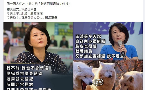 王鴻薇準落跑被酸四川變臉 網：補選費用落跑者出