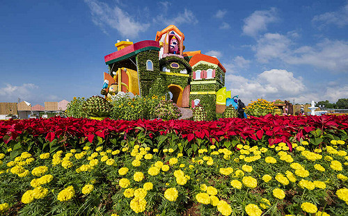 浪漫花海快搶拍！台中國際花毯節12/3登場