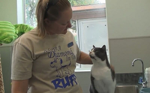 貓咪被摸好舒服！待人類轉身「急忙回饋」：你也辛苦了