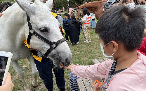 中部唯一有馬廄的大學 東海開辦兒童馬術冬令營