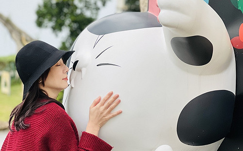 新北淡水海關碼頭「巨型貓屋」 鏟屎官必朝聖