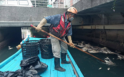 高雄幸福川發現大量死魚  水利局:人員安全考量非惡意排放污水