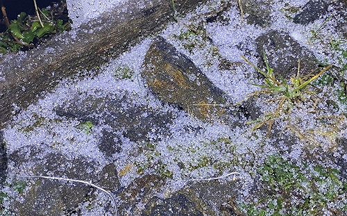 寒流發威！玉山晚間降下冰霰15分鐘