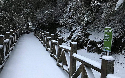 寒流發威!拉拉山湧追雪潮 林務局:降雪將管制車輛