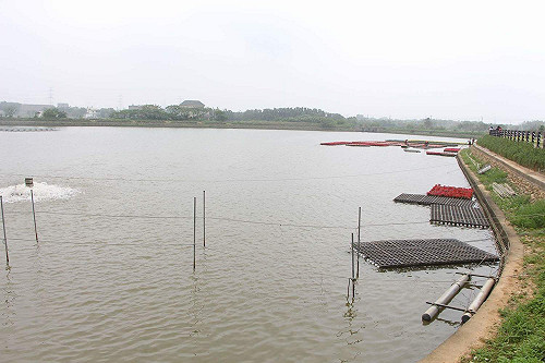 光電埤塘惹爭議 中央統一制定規範