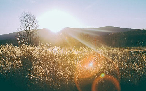 冬至陽氣回升！5步驟旺財效果翻倍