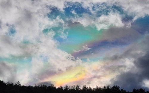 冬季限定!武陵農場驚見夢幻美景 「七彩絢雲」畫面公開