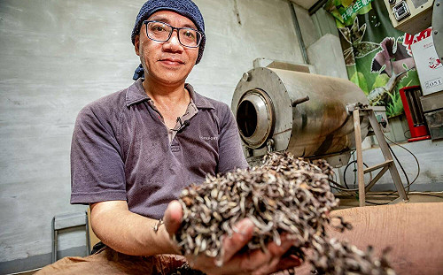 新北好茶之光 囊括國際四大獎項