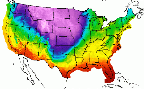 炸彈氣旋襲擊！美國凍爆直降50℉ 近4000航班取消