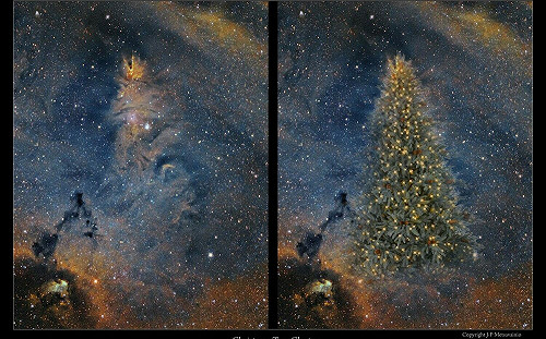 全宇宙最大耶誕樹別錯過！週末2天「大專生」免費參觀天文館