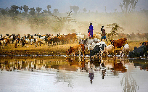 藝術萬花筒！多種藝術類型在新北435藝文特區一次看！ 