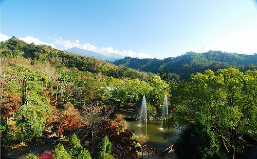 迎接2023好去處！東勢林場「這時段」入園享優惠