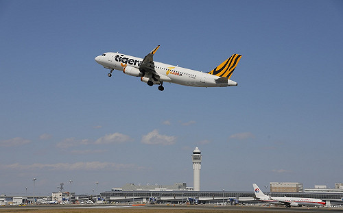 飛機訊號異常澳門檢修！台灣虎航8航班受影響