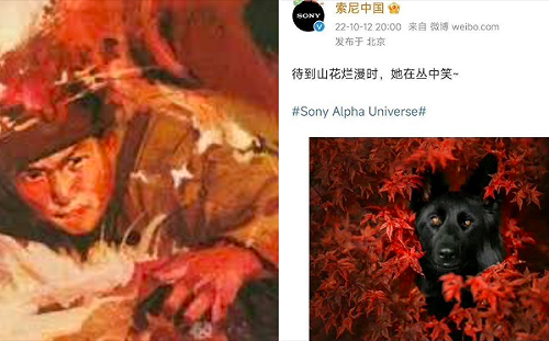 躺槍？Sony一篇黑狗照被指「辱華」恐罰款百萬人民幣
