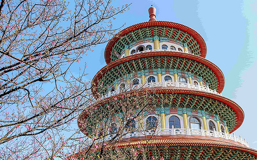 懶人包》春暖花開賞櫻去！北部6大夢幻櫻花景點一次看