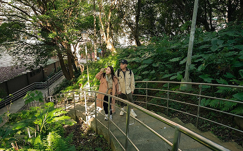 新店安康森林公園  在城市中享受芬多精森林浴