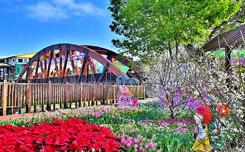 1.5萬株繽紛花海別錯過！石岡鬱金香花節1/18夢幻登場