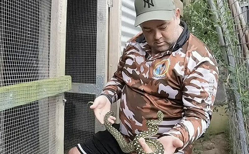 請人抓蛇賴帳！1.8m毒蛇專家丟回去