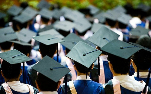 台大生不解釋了！讀這科系過年最慘