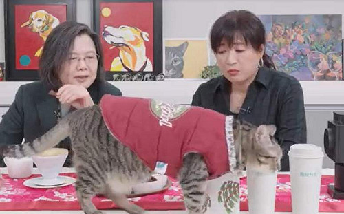 （影）蔡培慧攜南投新創商品拜年 蔡英文：選舉累了就喝咖啡、玩弄「蔡想想」