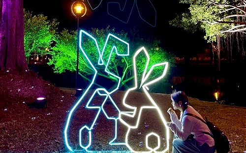 高雄蓮潭燈會作品亮相  回娘家走春搶先看