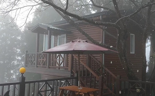 拉拉山降瑞雪！入冬最強寒流來襲 賞雪時間點看這裡