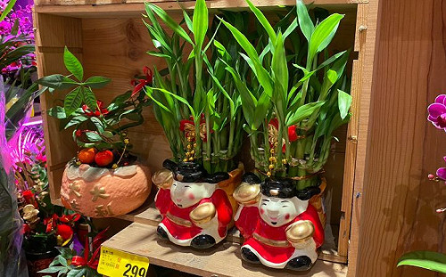 兔年「旺財11招」！做越多財越旺