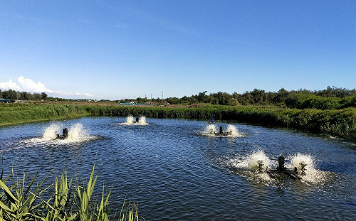 立委蔡易餘建議中央推動「馬力水車舊換新節能變頻水車」