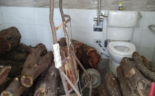 無障礙廁所藏滿木頭！內行急勸報警