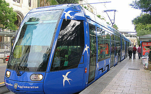 蔡筱穎觀點》創舉！應對氣候變化 法國南部大城將免費公共交通