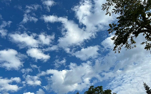 週一變天轉冷　下週補班日放晴