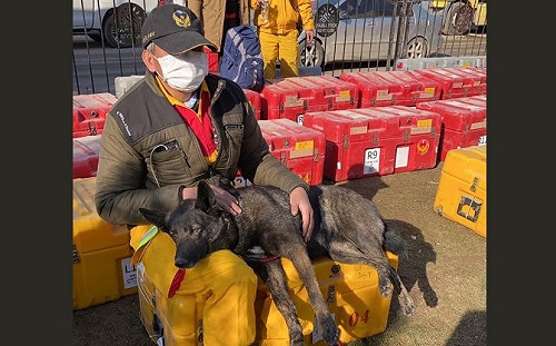 搜救犬累癱返台ing 北市Hugo秀萌照喊去洗澡囉