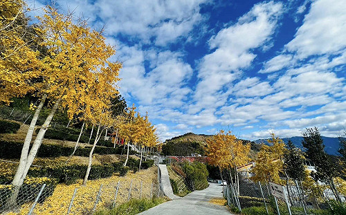 228連假「3景點」恐塞爆！公總公布3大避塞車時段