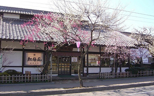 體驗「梅」好滋味！東京梅子特色料理一吃就上癮