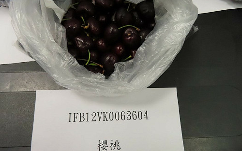 邊境檢驗不合格名單公布！智利櫻桃違規7件  食藥署說話了
